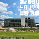 텃밭양산점 | 경남 양산 [ 느티나무의 사랑 카페 ] 정원 아름다운 부산근교 대형카페 내돈내산 방문후기 + 주차장