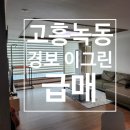 고흥공인행정사