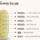 네이처바이트 | 솔가 네이처 바이트: 건강을 한입에 담다