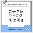 블루베리 효능과 칼로리 완전정복