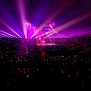 유앤미글로벌 - 구미시 | [일상] 블핑 본핑크 시네마 후기&뒤늦은 콘서트 후기_2024.07.31