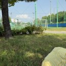 [전주] 2025년 전주 정원산업박람회 방문 후기
