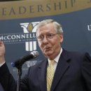 붉은황소 이미지