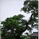 성지중학교 이미지