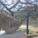 유곡마을 회관앞 이미지