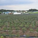 민이맘농장 이미지