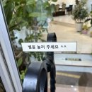 웨딩 커플링 고민 중이라면, 여기 무조건 가보세요 (실착후기 있음) feat 랩다이아