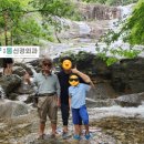 대명동신경외과, 허송세월 - 김훈 [서부통신경외과] 성당동, 송현동 대구달서구, 서부정류장역