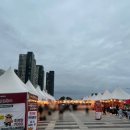 세종한우 | 내돈내산 2025세종한우 숯불축제 후기