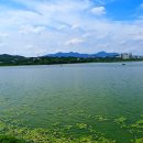 입북초교 | [서수원 GS자이] 역세권·산업단지 호재 품은 입북동 아파트 임장 후기