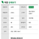 3.3영어교습소