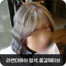 라벤더에쉬 이미지