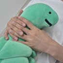 헤어라인쎄븐 | 안양 눈썹 왁싱 플루메리아 남편 헤어라인 이마 왁싱으로 깔끔해진 후기