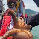 신월동052 | 2025 여수 문어낚시배 추천 + 꿀팁 총정리!