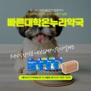 대학온누리약국 이미지