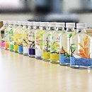 김제학생교육문화관 금산분관 | [김제학생교육문화관 금산분관] 초등학생 도서관 교육복지 체험 프로그램, 바다 디퓨저 만들기