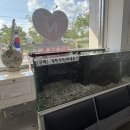 경대셀프세차장 | 27, 9월 셋째주