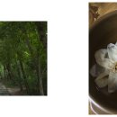 논산종합관광안내소 이미지