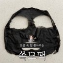 나눔광고 | 광고보다 너무 궁금해서 구매한 가시털(소극성성모증) 뽑는 [쏙모팩] 내돈내산 리얼후기