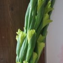 대전한국병원 장례식장 이미지