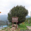 황우목장 이미지