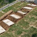 판석농장 이미지