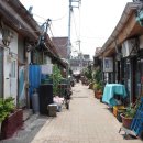 금강헤어라인