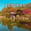 현충원 산책길 | 대전 현충원 단풍명소 은행나무 둘레길 아이랑 보훈미래관