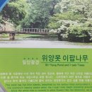이팝인테리어 이미지