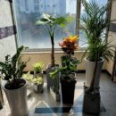 마음톡의원 이미지