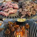 나노갈매기 | 가성비 좋은 신용산역 노포 맛집 나노갈매기 용산점 청모 후기