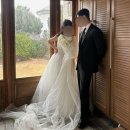 레스디자인 | 플래너 없이 결혼 / #11 알리드레스 후기 (야외스냅, 스튜디오촬영, 본식)