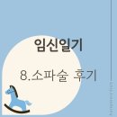 계류유산 소파술 과정 후기 (통증, 출혈, 비용, 한국넬슨미소프로스톨정(가스토텍정) 복용후기)