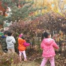 초록공원 농구장 이미지