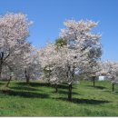 삼화목장 이미지