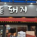 칼든돼지 - 37981 | 칼든돼지