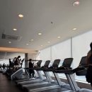 11650-17-197-24 | 연수동헬스장 다니면서 연수동골프 올피플에 등록한 후기