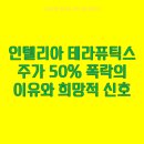 넥스트랜스 | 인텔리아 테라퓨틱스 주가 50% 폭락의 이유와 희망적 신호