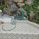 피셔프라이드 이미지