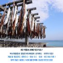 (주)씨푸드 Daum카페