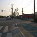 봄 야외예배(2008.5.25) 선정지 &#34;송도 솔밭공원&#39; 둘러보세요 이미지