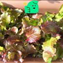 무한대태양광발전소 이미지