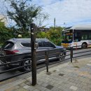 원흥목장 | 조선왕릉 40기 투어6/ 서삼릉(21~23)