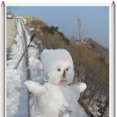 치산정 이미지