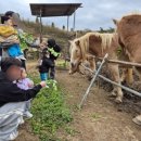 아이또래어린이집 이미지