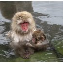 엄마의 마음 이미지