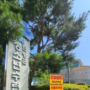 단양군청소년수련관 수영장 이미지