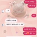 철수맥주(천상) | 그래황혼의순간에웃음짓는게누군가보자