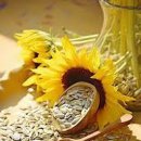 해바라기호떡 이미지