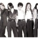 베이비복스 카카오 검색결과